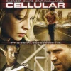 1027-cellular-1.webp Cellular
