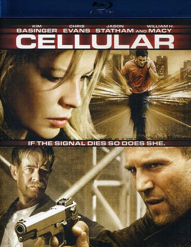 1027-cellular-1.webp Cellular
