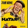 Hatari!