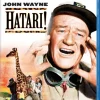 Hatari!