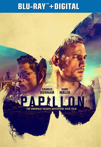 1211-papillon-1.webp Papillon