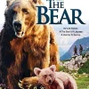 2405-the-bear-1.webp The Bear