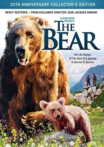 2405-the-bear-1.webp The Bear