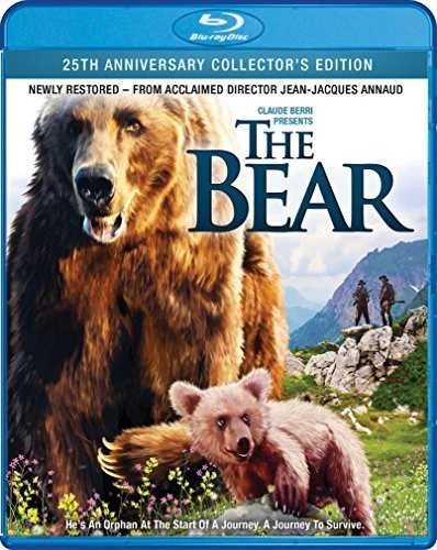 2405-the-bear-2.webp The Bear