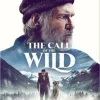 The Call of The Wild