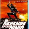 Revenge of the Ninja