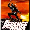 Revenge of the Ninja