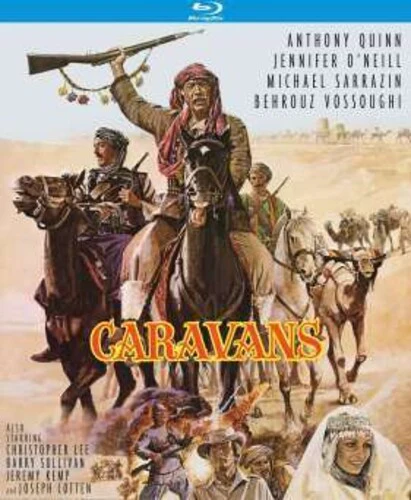 2943-caravans-2.webp Caravans