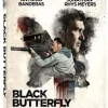 Black Butterfly