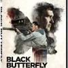 Black Butterfly